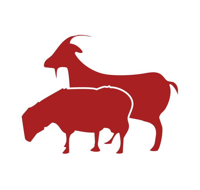 Sheep & Goat