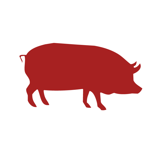 Swine