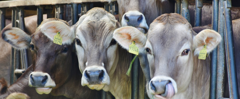 Agtech International Se Habla Espanol